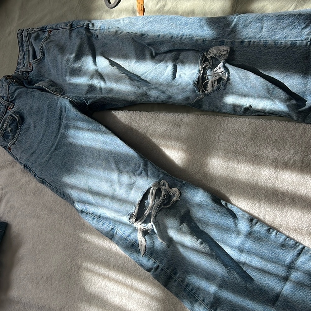 Zara Wide Leg Jean